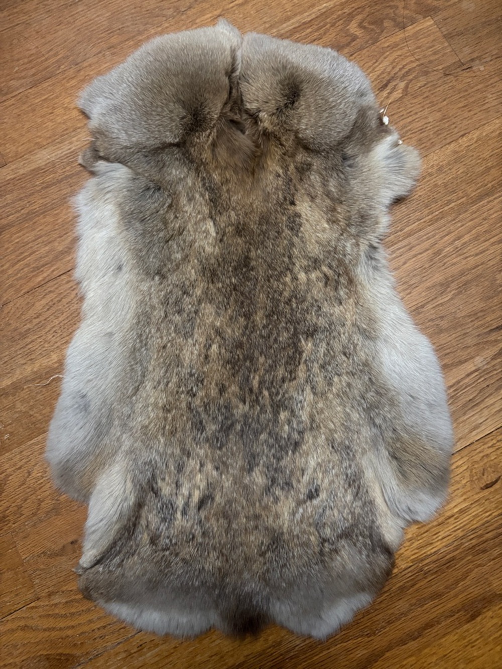 #0005 rabbit pelt crafts decor